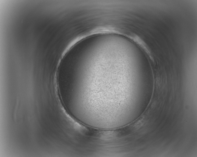 X0000068261382200604241220