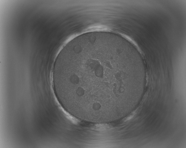 X0000068261383200604241220