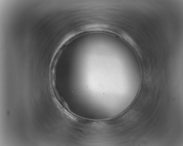 X0000068261384200604241220