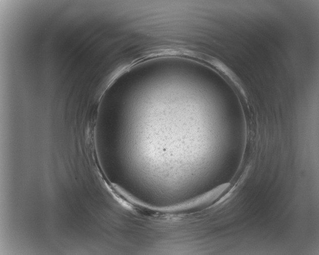 X0000068261385200604241220