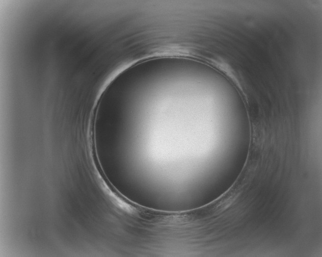 X0000068261387200604241220