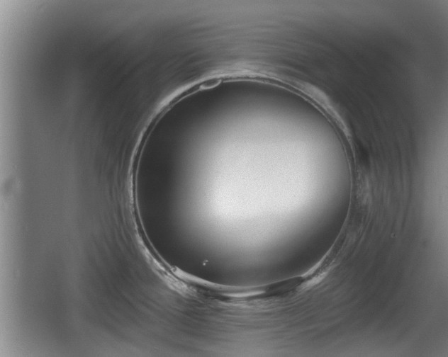 X0000068261388200604241220