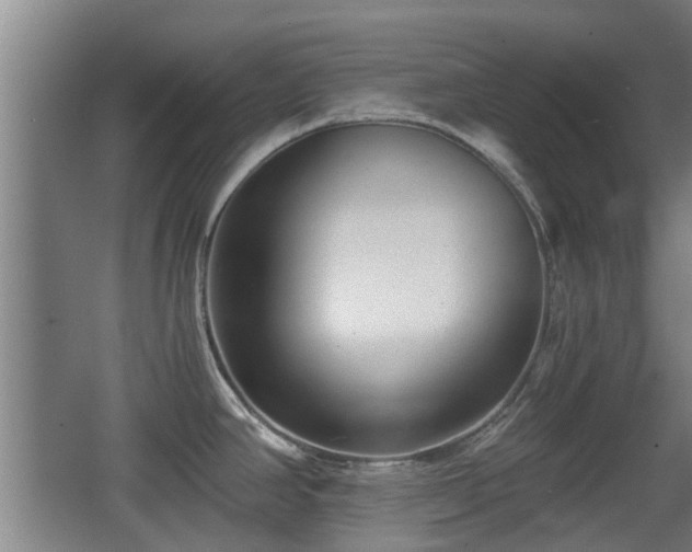 X0000068261390200604241220