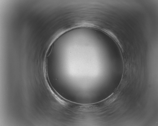 X0000068261391200604241220