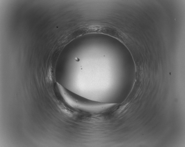 X0000068261394200604241219