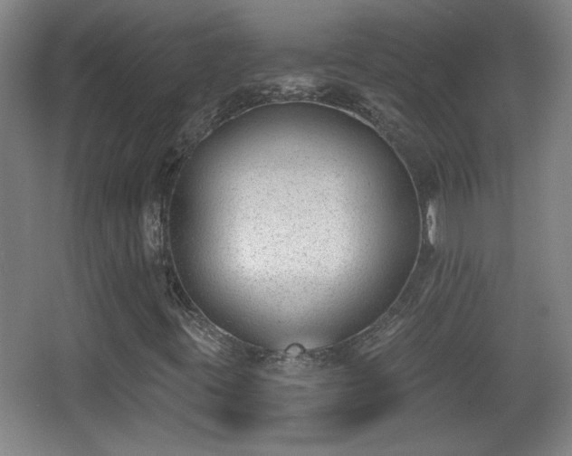 X0000068261395200604241219