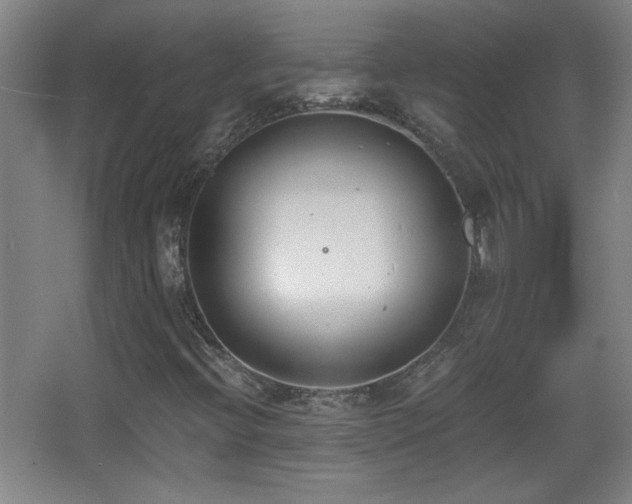 X0000068261396200604241219