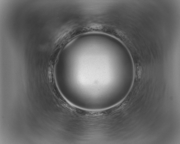 X0000068261397200604241219