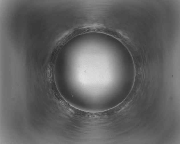 X0000068261398200604241219