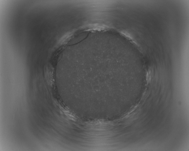 X0000068261399200604241219