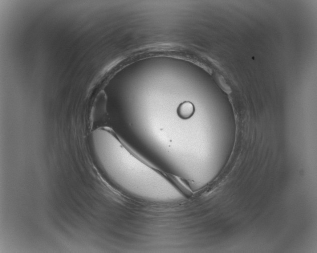 X0000068261402200604241219