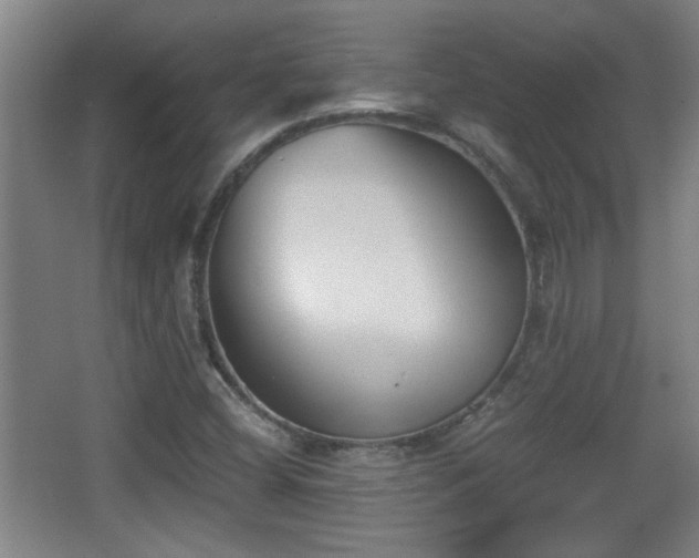 X0000068261404200604241220