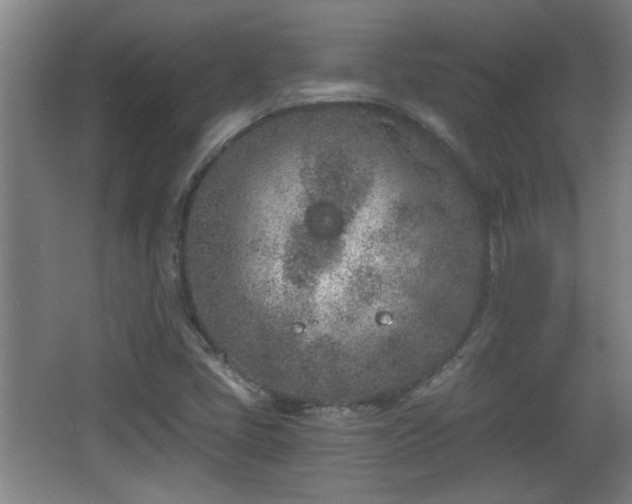 X0000068261405200604241220