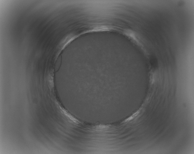 X0000068261409200604241220