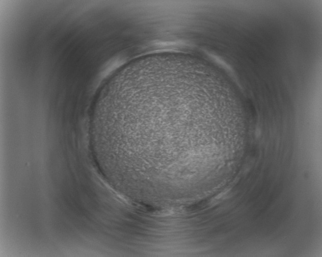 X0000068261411200604241220