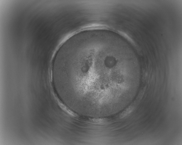 X0000068261413200604241220