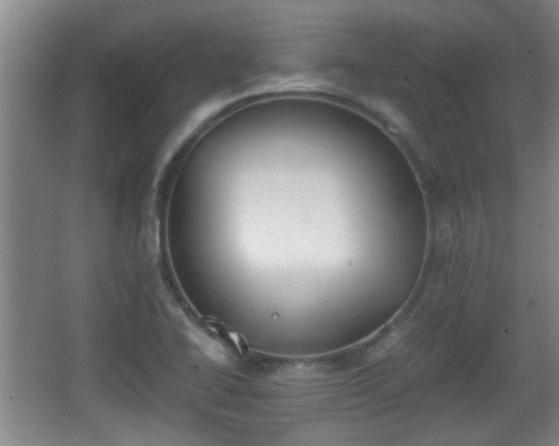 X0000068261414200604241220