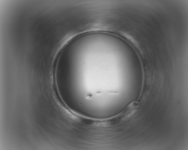 X0000068261415200604241220