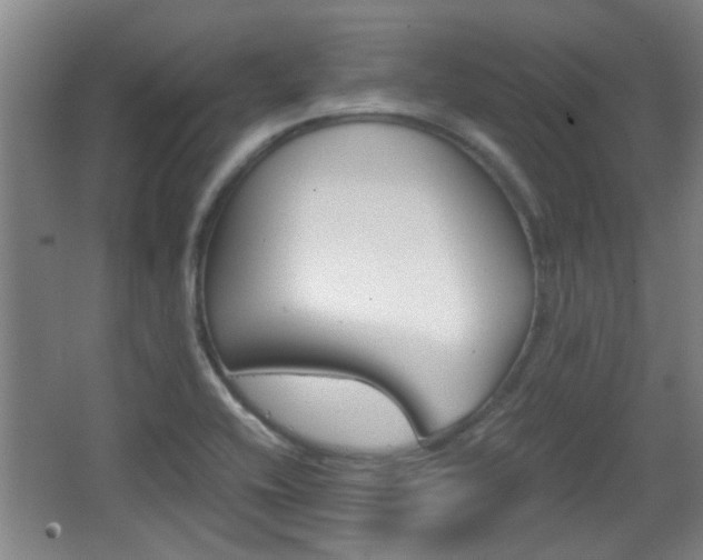 X0000068261416200604241220