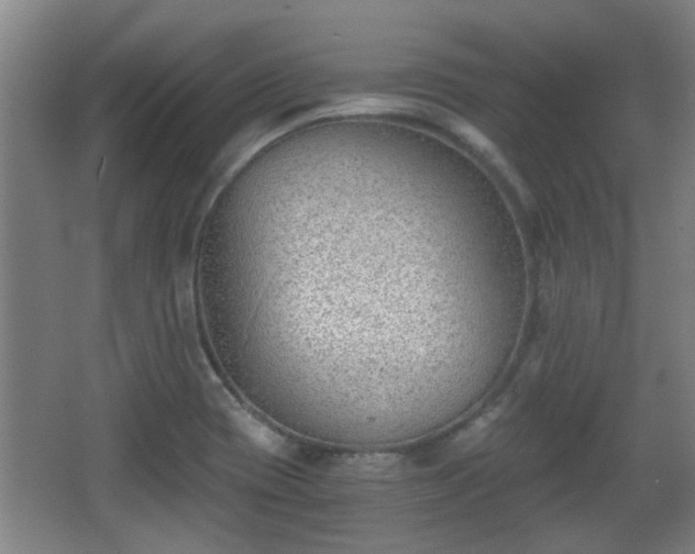 X0000068261417200604241220