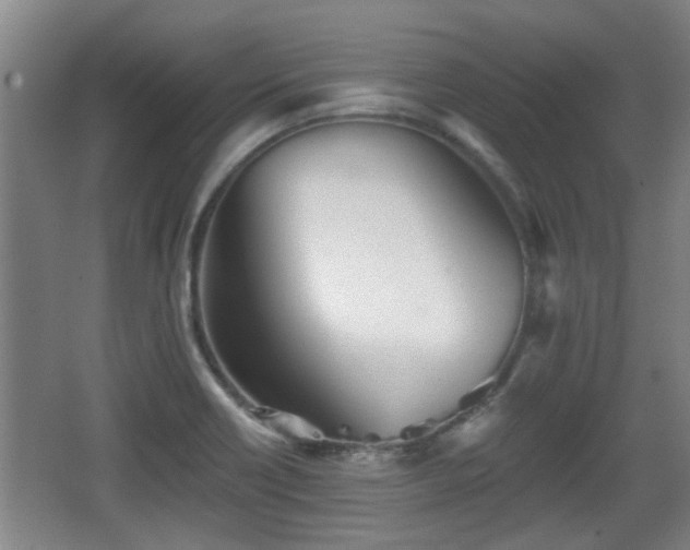 X0000068261418200604241220