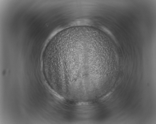 X0000068261419200604241220