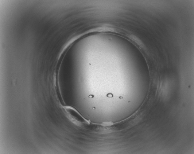 X0000068261420200604241220