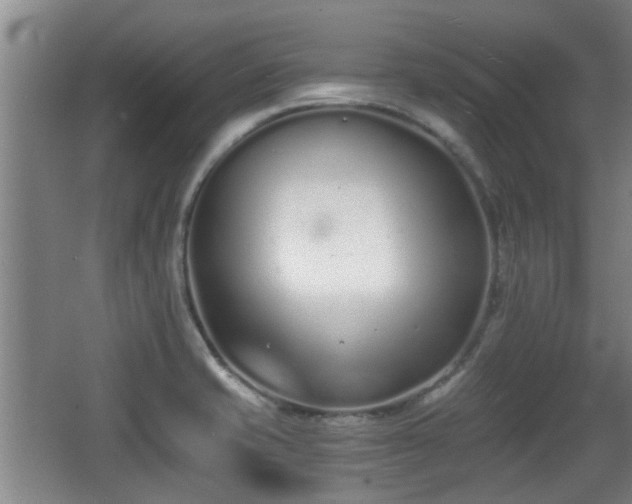 X0000068261421200604241220