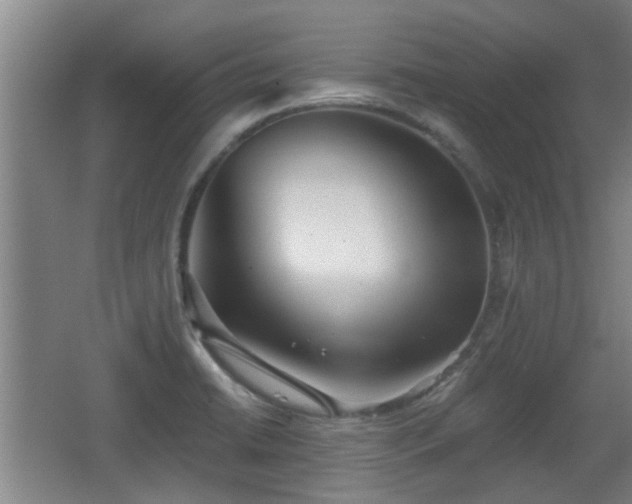 X0000068261422200604241220