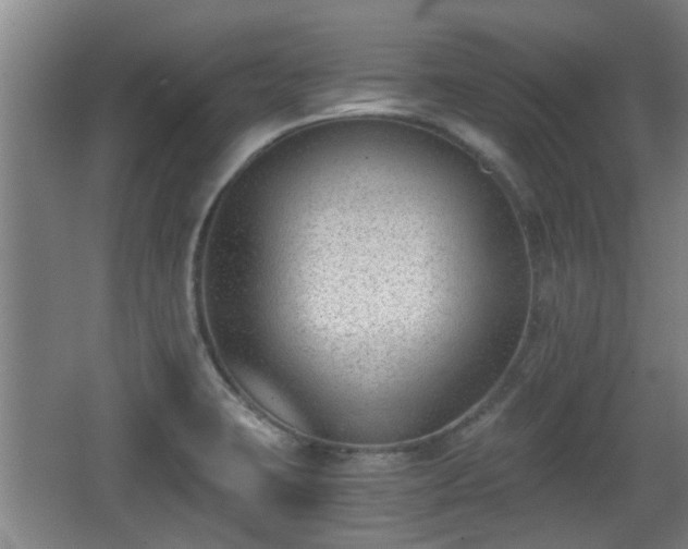 X0000068261423200604241220