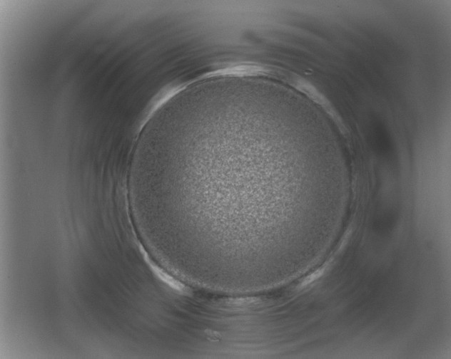 X0000068261425200604241220