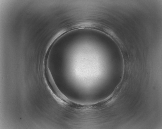 X0000068261426200604241220