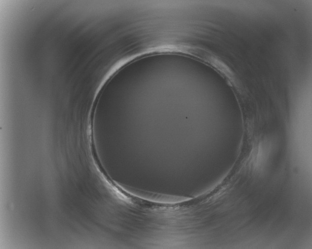 X0000068261428200604241220