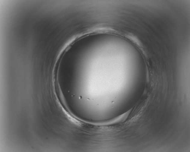 X0000068261430200604241220