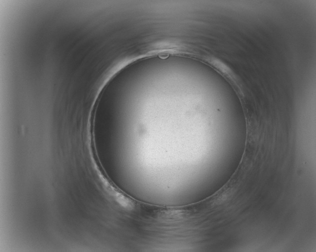 X0000068261431200604241220