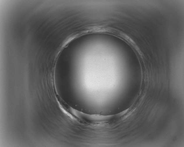 X0000068261433200604241220