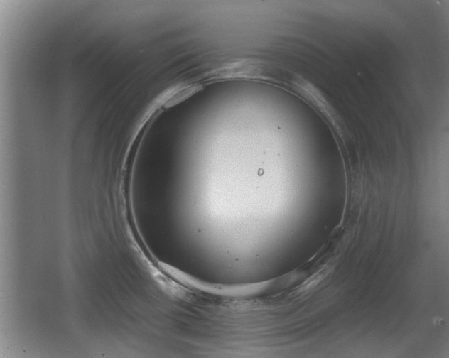 X0000068261434200604241220