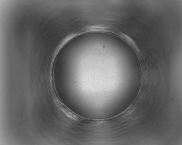 X0000068261435200604241220