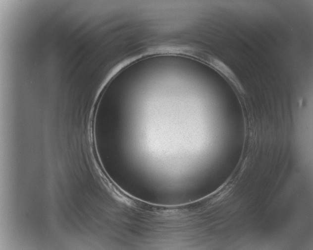 X0000068261436200604241220