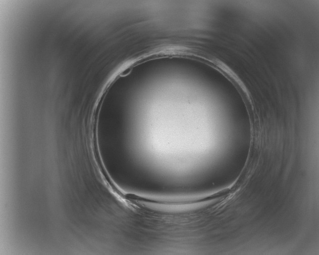 X0000068261437200604241220