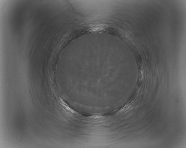 X0000068261441200604241219