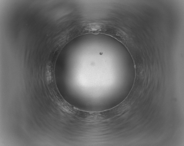 X0000068261442200604241219