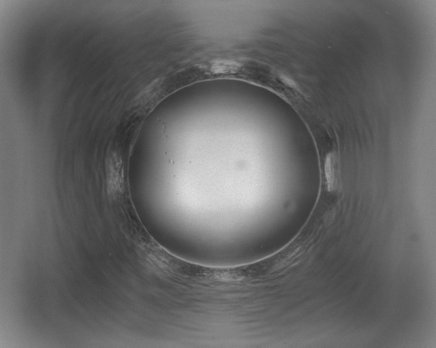 X0000068261443200604241219