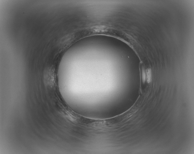 X0000068261444200604241219