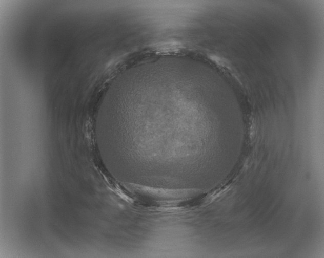 X0000068261445200604241219