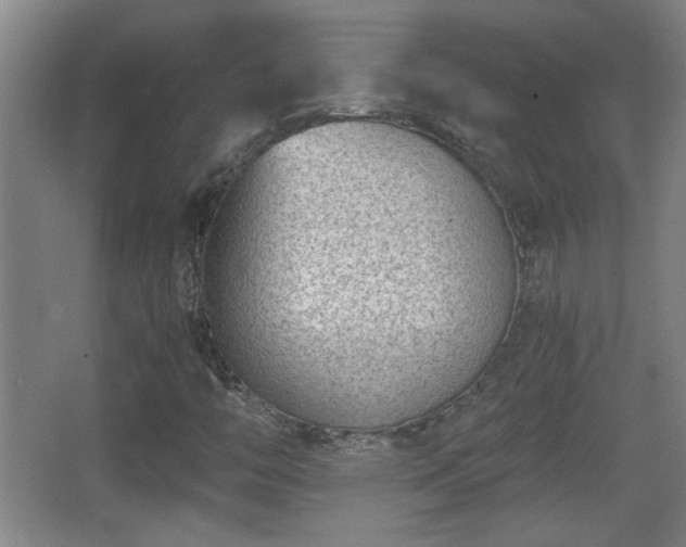 X0000068261446200604241219