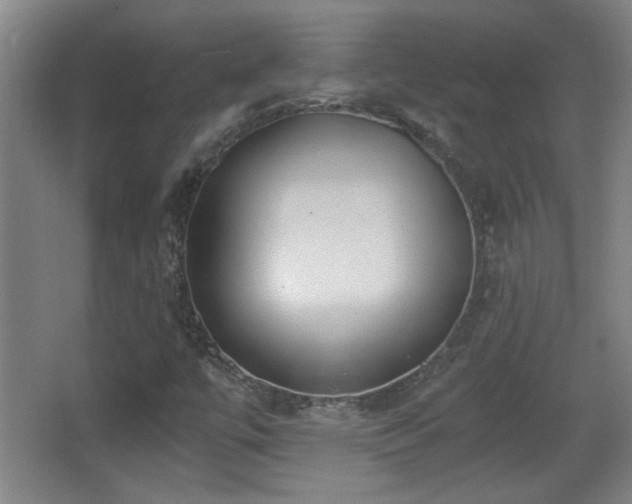 X0000068261447200604241219