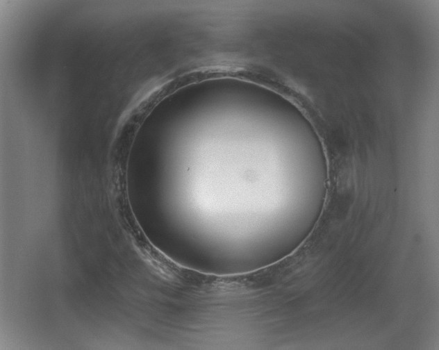 X0000068261448200604241219