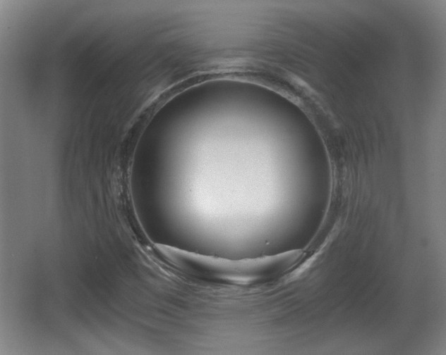 X0000068261449200604241219