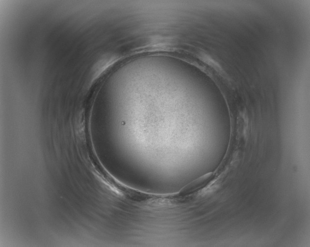 X0000068261450200604241219